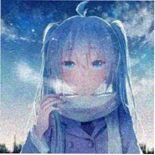 用户冬青头像